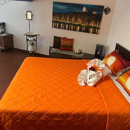 Historic Center Via Po Apartment Turin Bagian luar foto